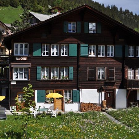 Studio bim Chalet bim Chilchli Mürren Esterno foto